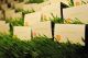 Placecards in grass, Photo: Barbara Banks Photography